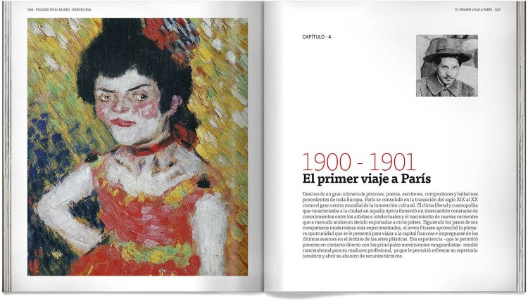 Libro Pablo Picasso En El Museo Obras Arte Dosde Publishing