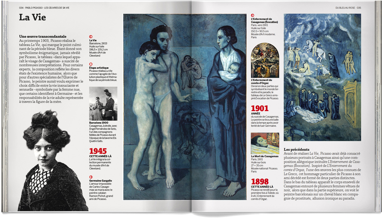 Book on Picasso, his life's work