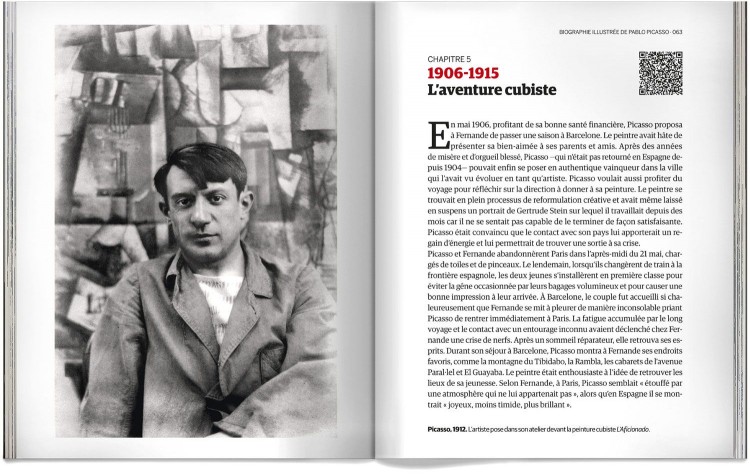 Biographie De Picasso Livre Francais Dosde Publishing