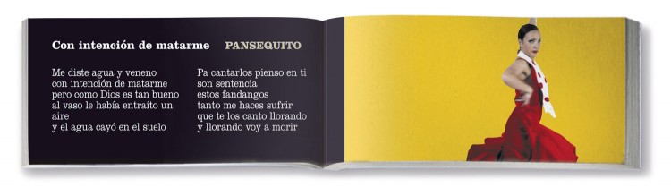 Interior Flipbook Flamenco Dosde Publishing