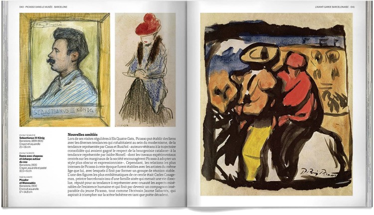 Pablo Picasso Dans Le Musee Livre Francais Art Dosde Publishing