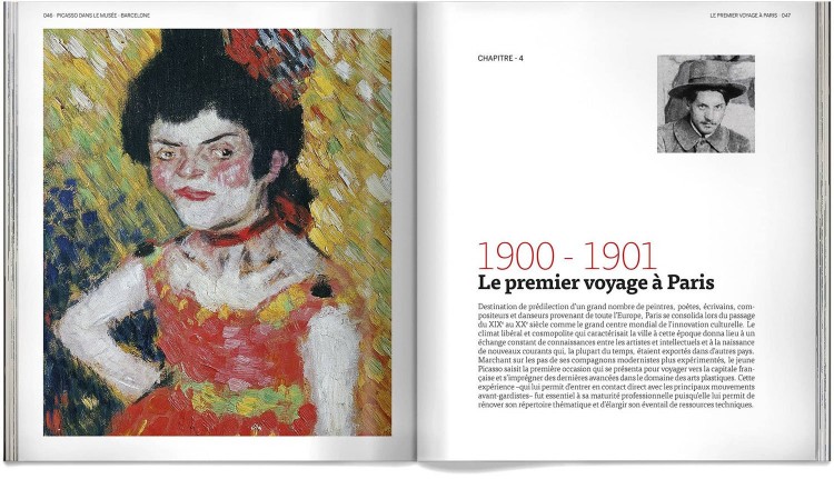 Pablo Picasso Dans Le Musee Livre Francais Art Dosde Publishing