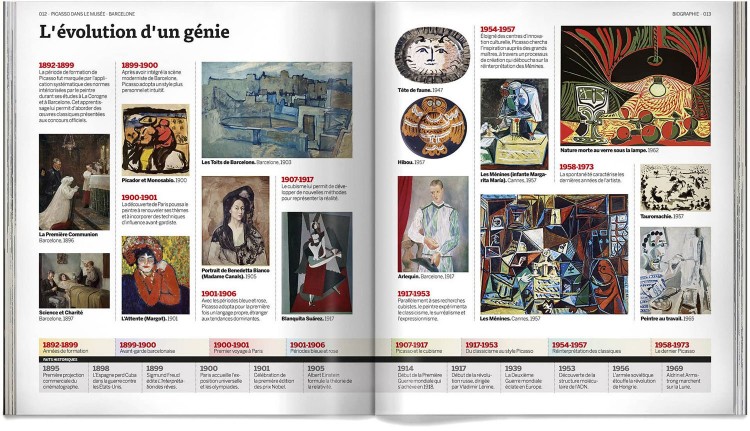Pablo Picasso Dans Le Musee Livre Francais Art Dosde Publishing