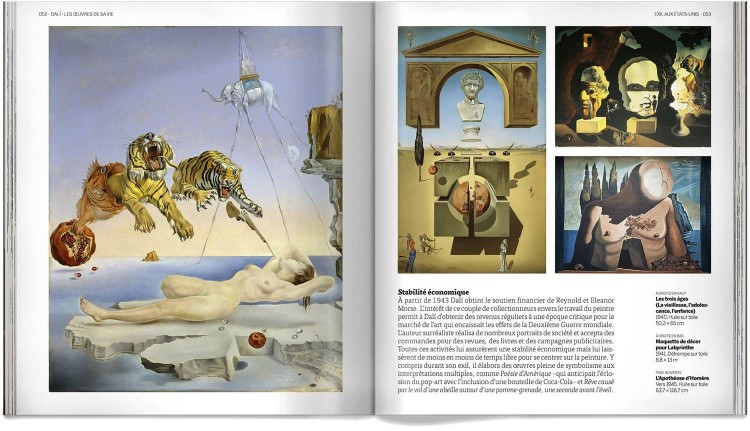 Salvador Dali Les Oeuvres De Sa Vie Livre Francais Art Dosde Publishing