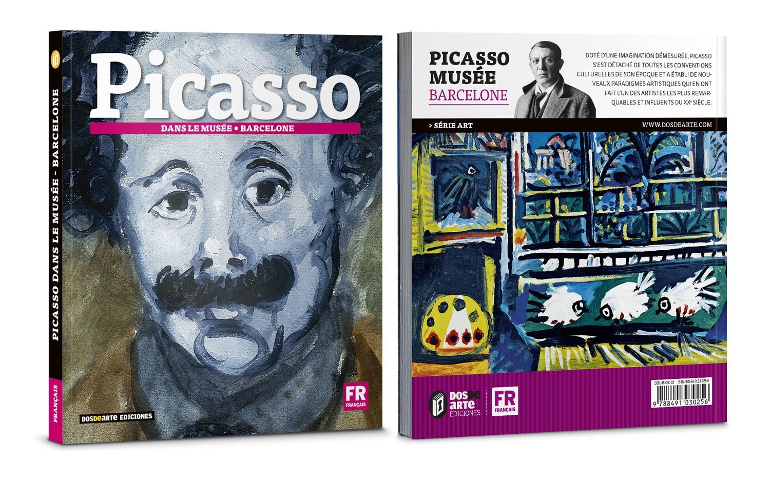 Livre Picasso dans le musée, ses oeuvres exposées à Barcelone