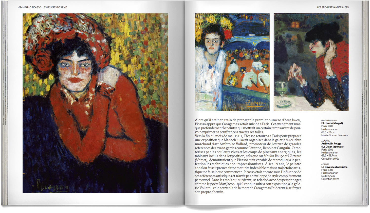 Book on Picasso, his life's work